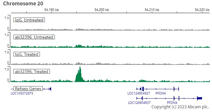 Estrogen Receptor Alpha Phospho S118 Antibody E91 Ab32396  Chic Cut Run Sequencing Img424408