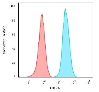 Anti-CD74 antibody [CLIP/3127R](AB270265)