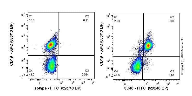 FITC Rabbit IgG, monoclonal [EPR25A] - Isotype Control(AB223339)