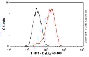 Anti-HNF-4-alpha antibody [K9218](ab41898)