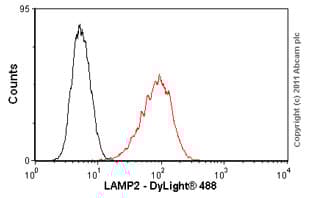 Anti-LAMP2 antibody [H4B4] - Lysosome Marker(AB25631)