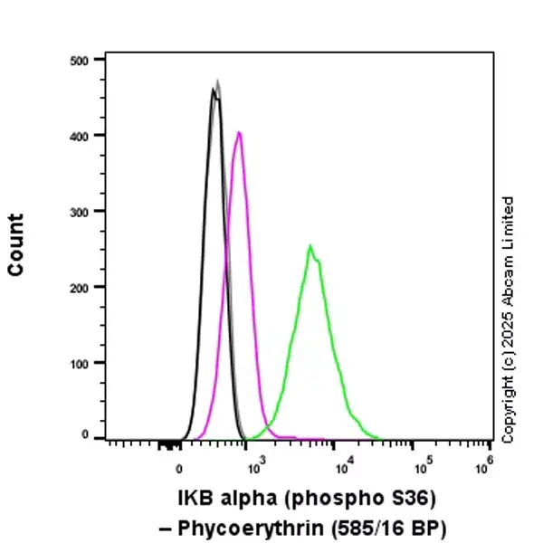 PE Rabbit IgG, monoclonal [EPR25A] - Isotype Control(AB209478)