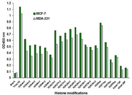 Histone H3 Modification Multiplex Assay Kit (Colorimetric)(AB185910)