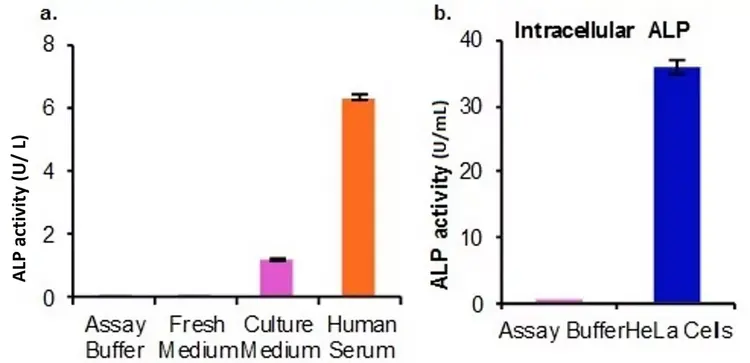 Alkaline Phosphatase Assay Kit (Colorimetric)(AB83369)