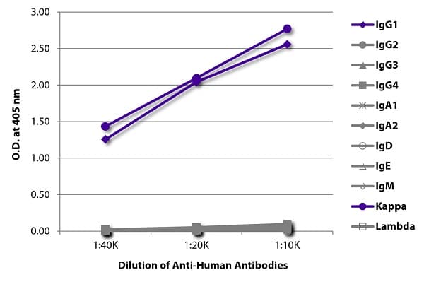 Human IgG1, kappa - Isotype Control(AB206198)