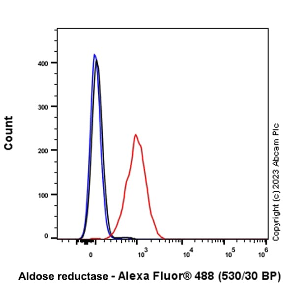 Anti-Aldose reductase antibody [EPR28780-7] - BSA and Azide free(AB316017)
