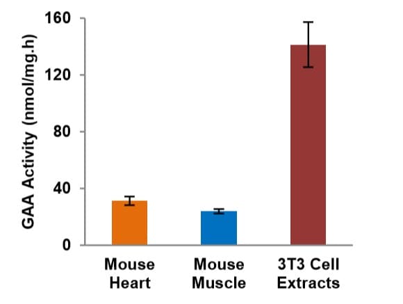 Lysosomal alpha-Glucosidase Activity Assay Kit (Fluorometric)(ab252887)