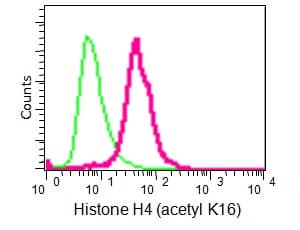 Anti-Histone H4 (acetyl K16) antibody [EPR1004] - BSA and Azide free(AB194352)