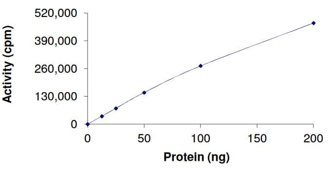 Recombinant human FGFR2 (mutated E565G) protein (Active)(AB268565)