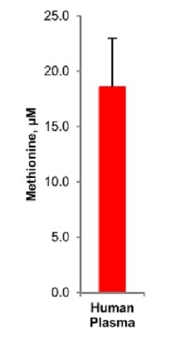 Methionine Assay Kit (Fluorometric)(AB234041)