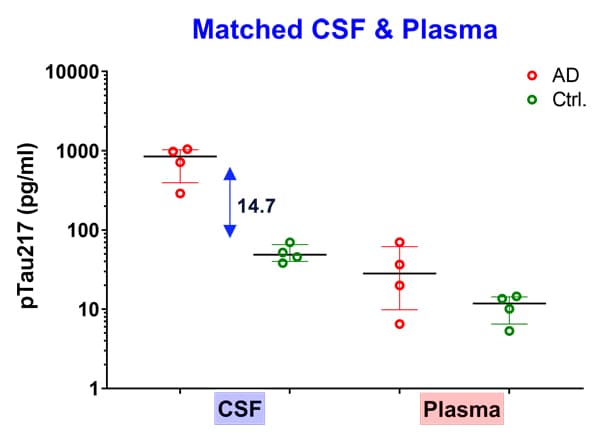 Anti-Tau (phospho T217) antibody [EPR24654-24] - BSA and Azide free(AB288167)