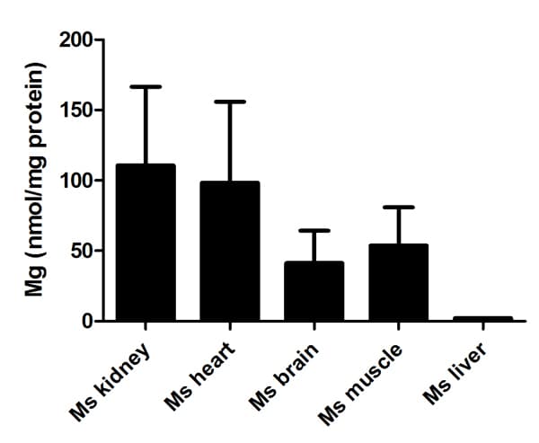 Magnesium Assay Kit(AB102506)