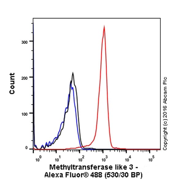 Anti-METTL3 antibody [EPR18810](AB195352)