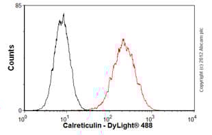 Anti-Calreticulin antibody [EPR3924] - ER Marker(AB92516)