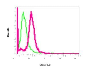 Anti-OSBPL9 antibody [EPR9333] - BSA and Azide free(AB249015)