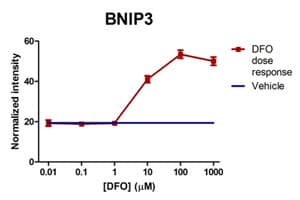 Human Hif1a + BNIP3 Hypoxia In Cell ELISA Kit (IR)(AB129733)