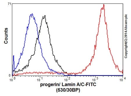 Anti-Lamin A + Lamin C antibody [EPR4100] - Nuclear Envelope Marker(AB108595)