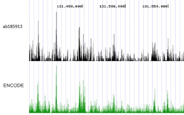 High-Sensitivity ChIP Kit(AB185913)