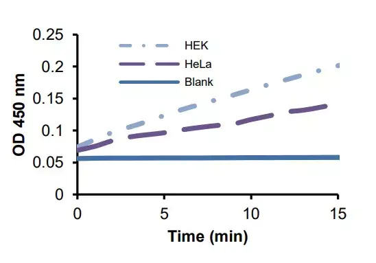 Phosphoglycerate Dehydrogenase (PHGDH) Activity Assay Kit (Colorimetric)(AB273328)