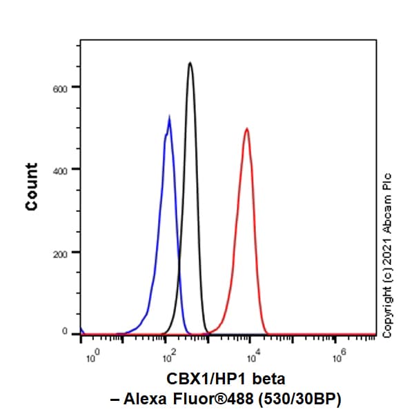 Anti-CBX1 / HP1 beta antibody [EPR24242-78](AB270988)