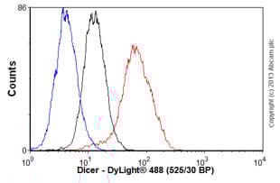 Anti-Dicer antibody [13D6] - ChIP Grade(AB14601)