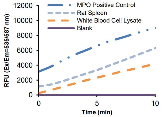 Myeloperoxidase (MPO) Peroxidation Activity Assay Kit (Fluorometric)(AB273334)