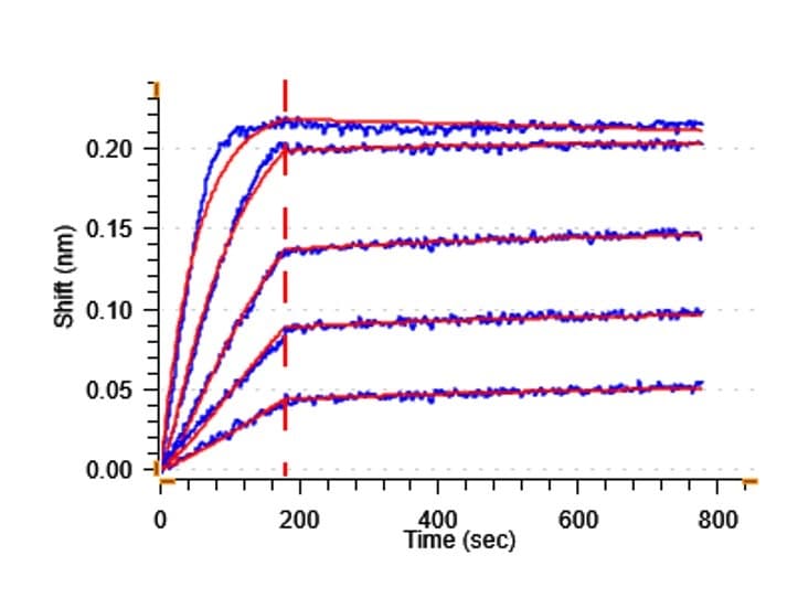 Recombinant Human GDF15 protein (Active)(AB302451)