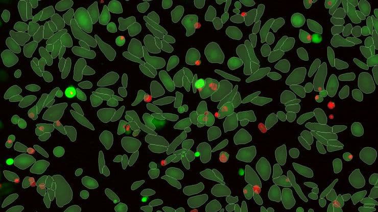 Csm Aivia Guided Assay Analysis F5b79b572c Kid22630781