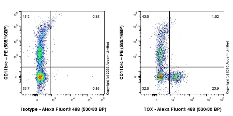 Anti-TOX antibody [EPR28108-10](ab322259)