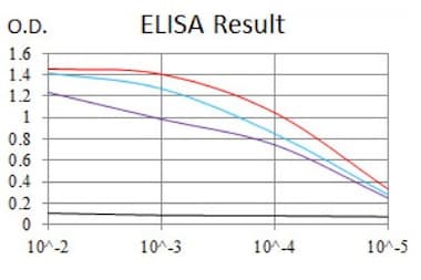 Anti-Alkaline Phosphatase, Tissue Non-Specific antibody [2F4](AB126820)