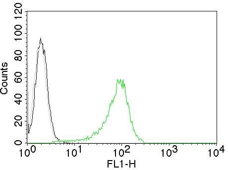 Anti-Human Nuclear Antigen antibody [235-1] - BSA and Azide free(AB216943)