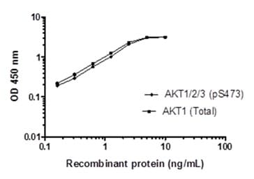 AKT 1/2/3 pS473 + AKT 1/2/3 Total ELISA Kit(AB253299)