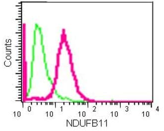 Ndufb11 Antibody Epr15252 Bsa And Azide Free Ab250690  Flow Cytometry Intracellular Img80914