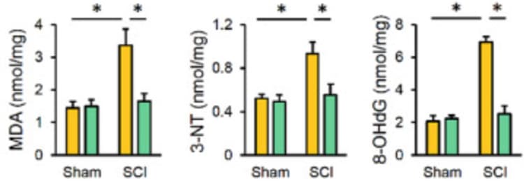 8-hydroxy 2 deoxyguanosine ELISA Kit(AB201734)