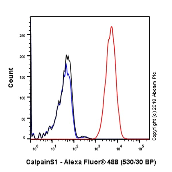 Anti-Calpain small subunit 1 antibody [SP81](AB101683)