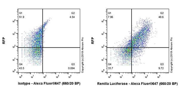 Alexa Fluor® 647 Anti-Renilla Luciferase antibody [EPR17792](AB225339)