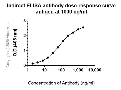 Anti-Met (c-Met) antibody [EP1454Y] - N-terminal(AB51067)