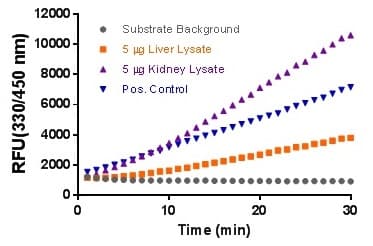 ß-Glucuronidase Activity Assay Kit (Fluorometric)(ab234625)