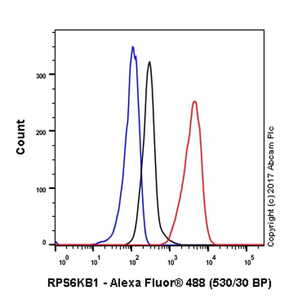 Anti-S6K1 antibody [E343] - BSA and Azide free(AB203558)