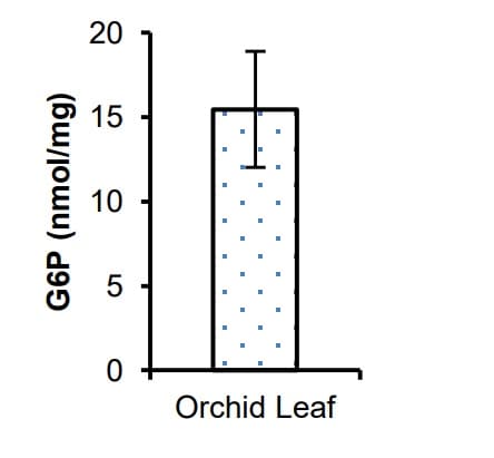Glucose-6-Phosphate Assay Kit - High Sensitivity (Fluorometric)(AB107923)