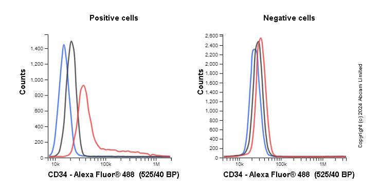 Anti-CD34 antibody [EP373Y](AB81289)