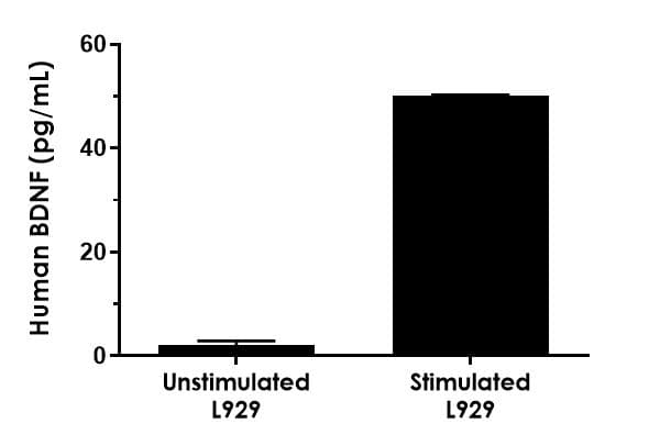 Human BDNF ELISA Kit(AB212166)
