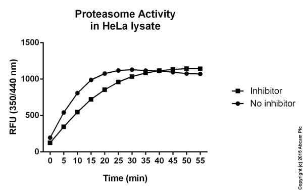 Proteasome Activity Assay Kit(AB107921)
