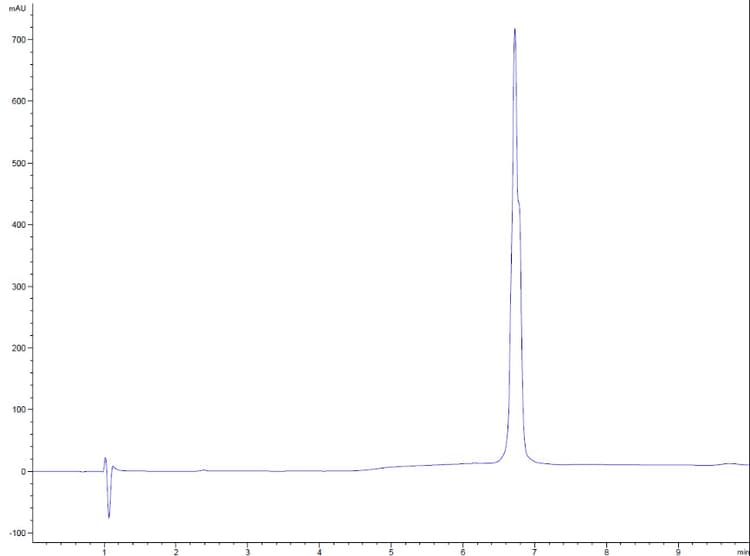 Recombinant human SCF protein (Active)(AB259391)