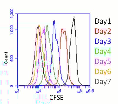 CFSE - Cell Labeling Kit(AB113853)