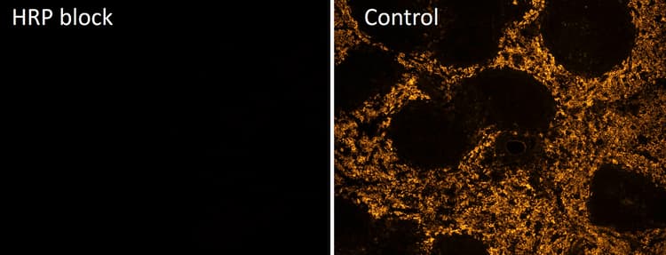 Multiplex IHC Detection kit (TSA amplification)(AB312827)