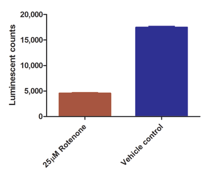 Luminescent ATP Detection Assay Kit(AB113849)
