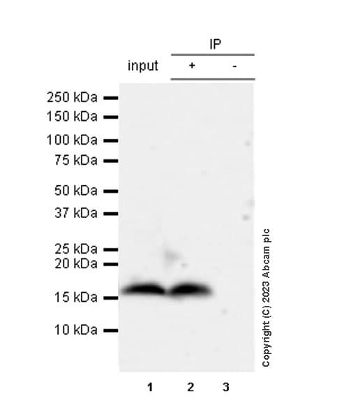 Mouse IgG1, kappa monoclonal [MOPC-21] - isotype control(AB18443)