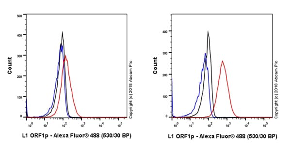 Anti-LINE-1 ORF1p antibody [EPR21844-108](AB216324)