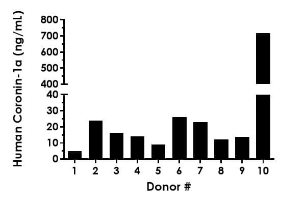 Human Coronin 1a ELISA Kit(AB214032)